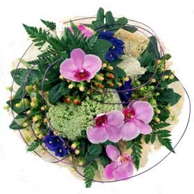 PP6 | Vibrant posy pad
