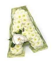 LETTER ORCHID