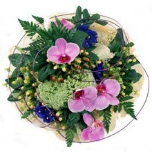 PP6 | Vibrant posy pad
